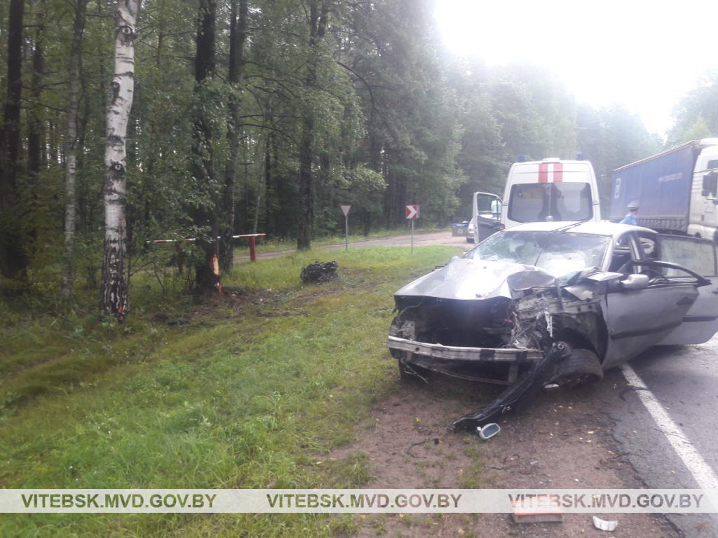 В Полоцком районе автоледи въехала в придорожное дерево
