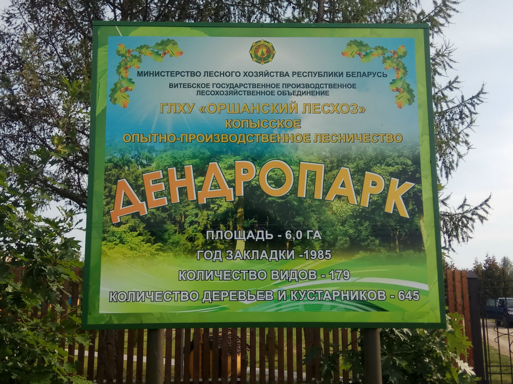 Флора разных регионов континента собрана в Копысском дендропарке в Оршанском районе