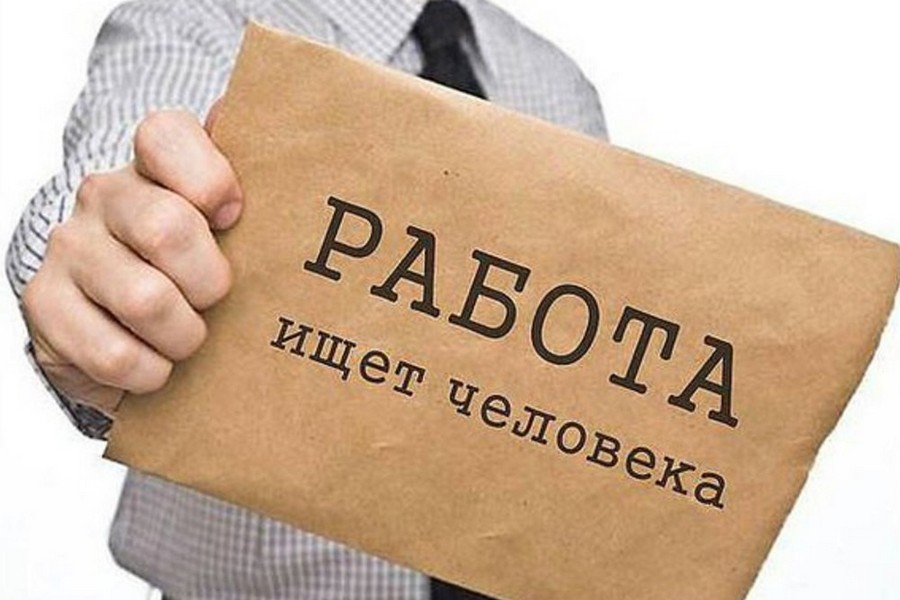 Топ-10 самых востребованных на Витебщине профессий