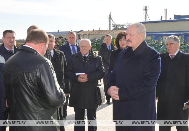 Последняя капля: что стало причиной жестких кадровых решений Лукашенко в Могилевской области