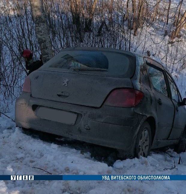 В Городокском районе автомобиль столкнулся с деревом, пострадал пассажир 