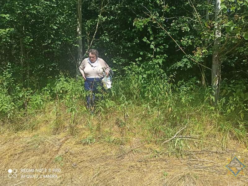 В лесу под Оршей спасатели нашли заблудившуюся семью