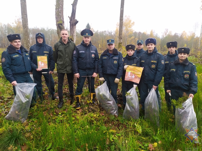 Спасатели Городокского района приняли участие в акции «Обновим леса вместе!»