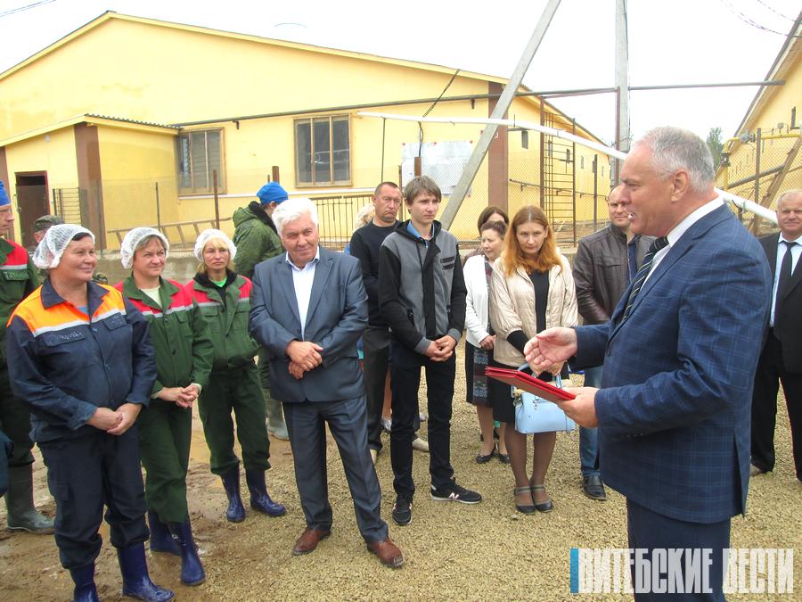 Полный цикл – в Чашникском районе открыта вторая очередь свиноводческого комплекса на 16 тыс. голов
