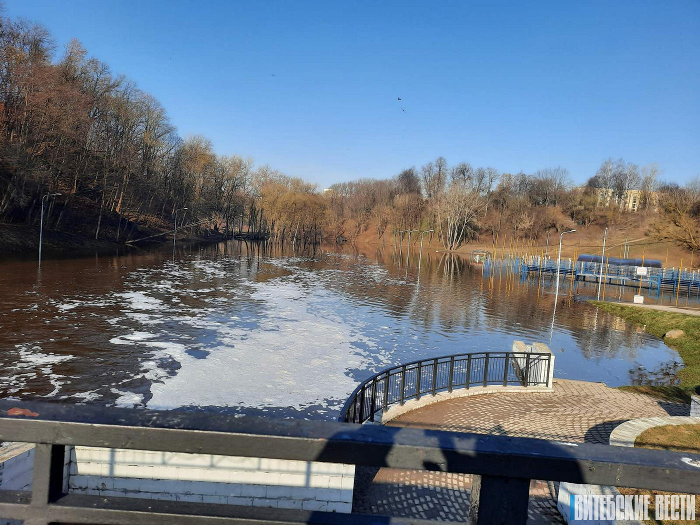 ФОТОФАКТ: Весеннее половодье в пойме реки Витьба. Под воду ушли тренажёры и спортивные площадки