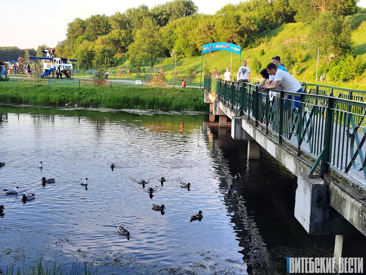 ФОТОФАКТ: пойма реки Витьба стала настоящей Меккой для отдыха витебчан 