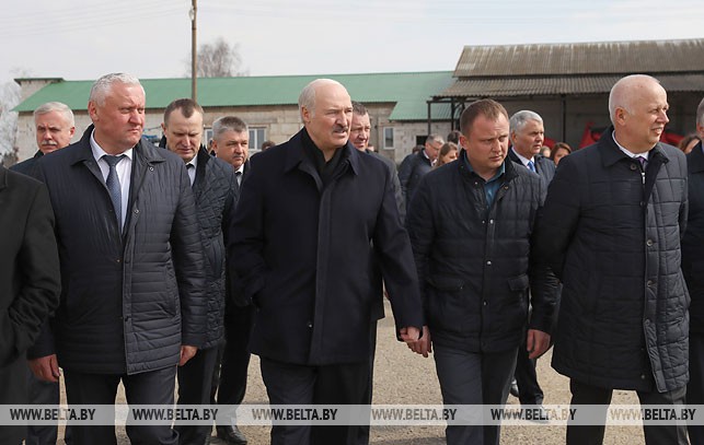Лукашенко потребовал повысить дисциплину в сельском хозяйстве и больше рассчитывать на собственные силы