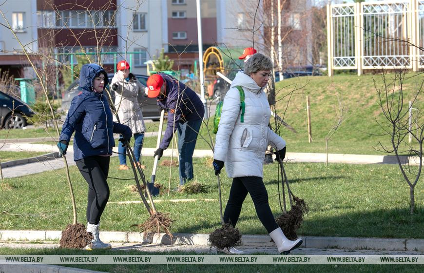 ФОТОФАКТ: Более сотни деревьев высадили во время экологической акции в Витебске