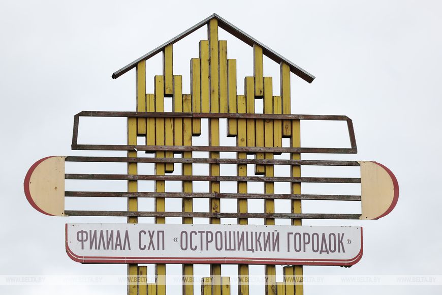 Президент вновь собрал выездной семинар по теме сельского хозяйства