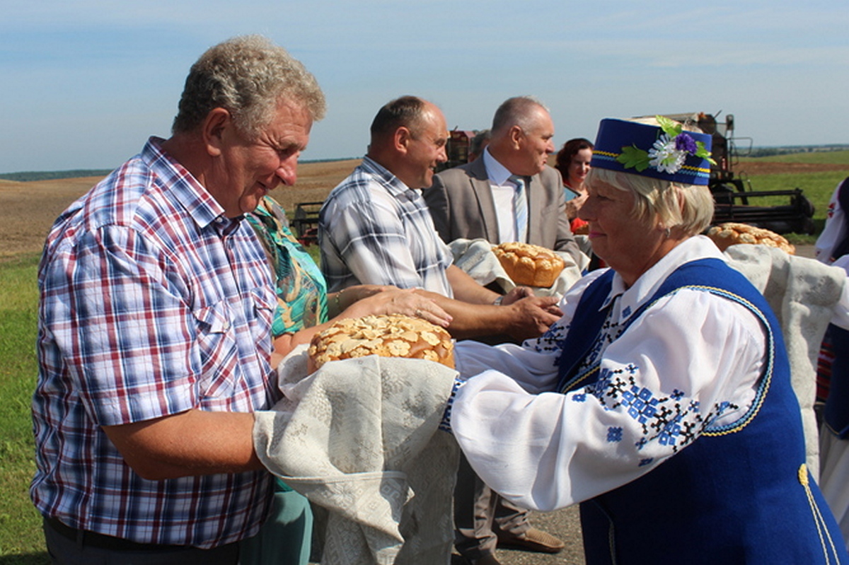 ОАО «Дворец труда-Агро» – передовое хозяйство быстрее всех в районе завершило уборку зерновых и зернобобовых культур