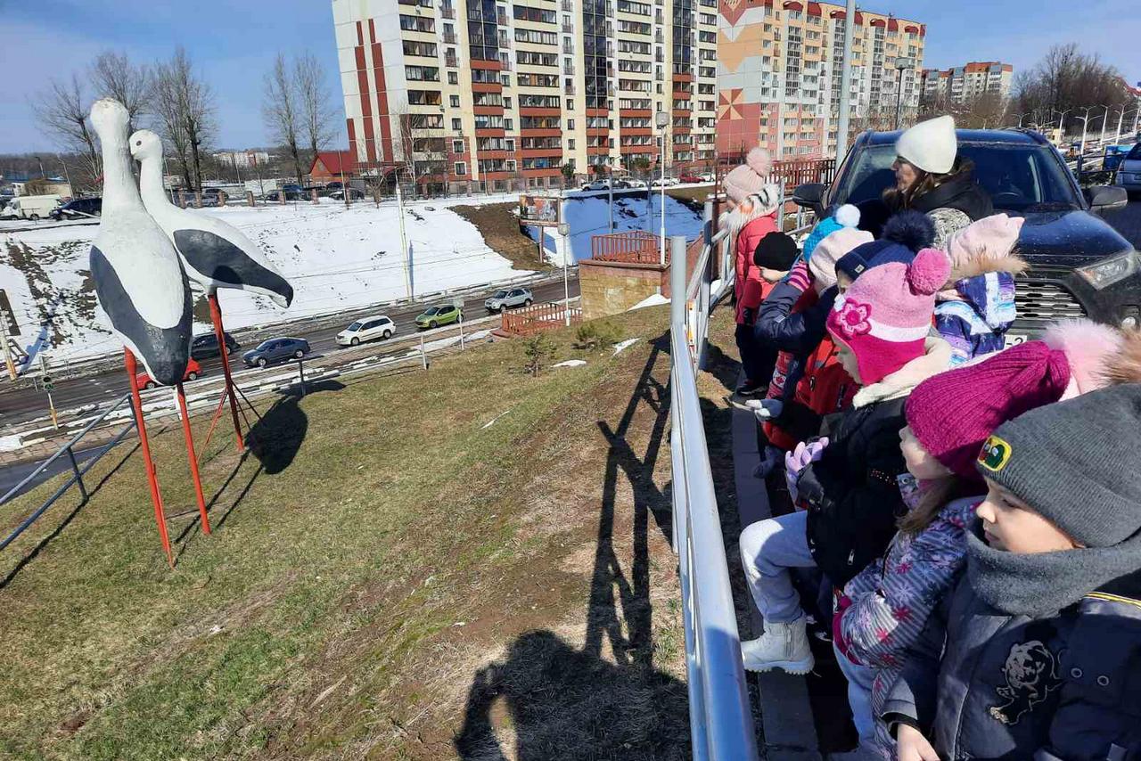 Цветущему Витебску быть! В Год благоустройства коммунальники преобразят откосы на стыке проспекта Черняховского и улицы Воинов-Интернационалистов