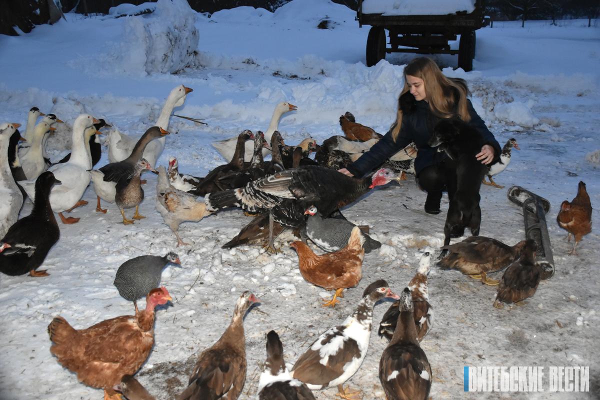 Частное подворье, или Птичье царство семьи Телюк из Лепельского района