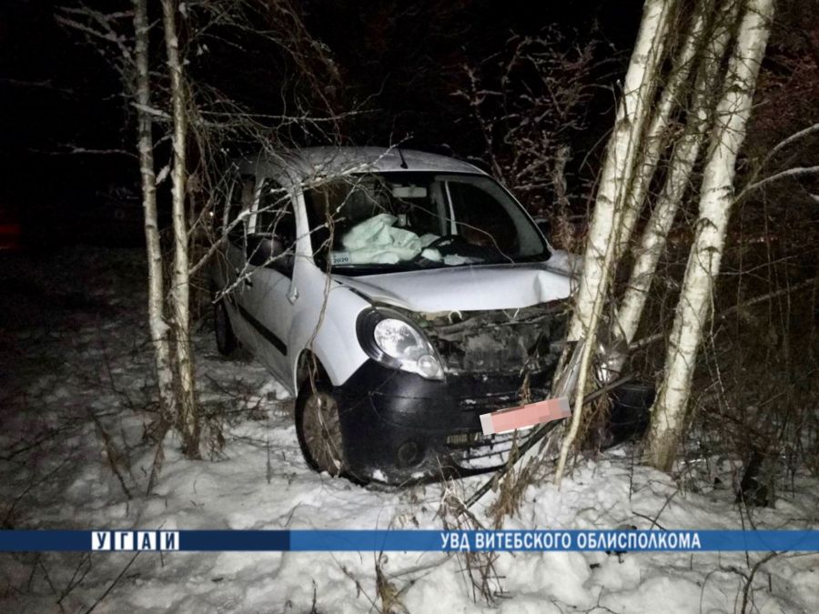 В Россонском районе иномарка съехала в кювет и врезалась в дерево
