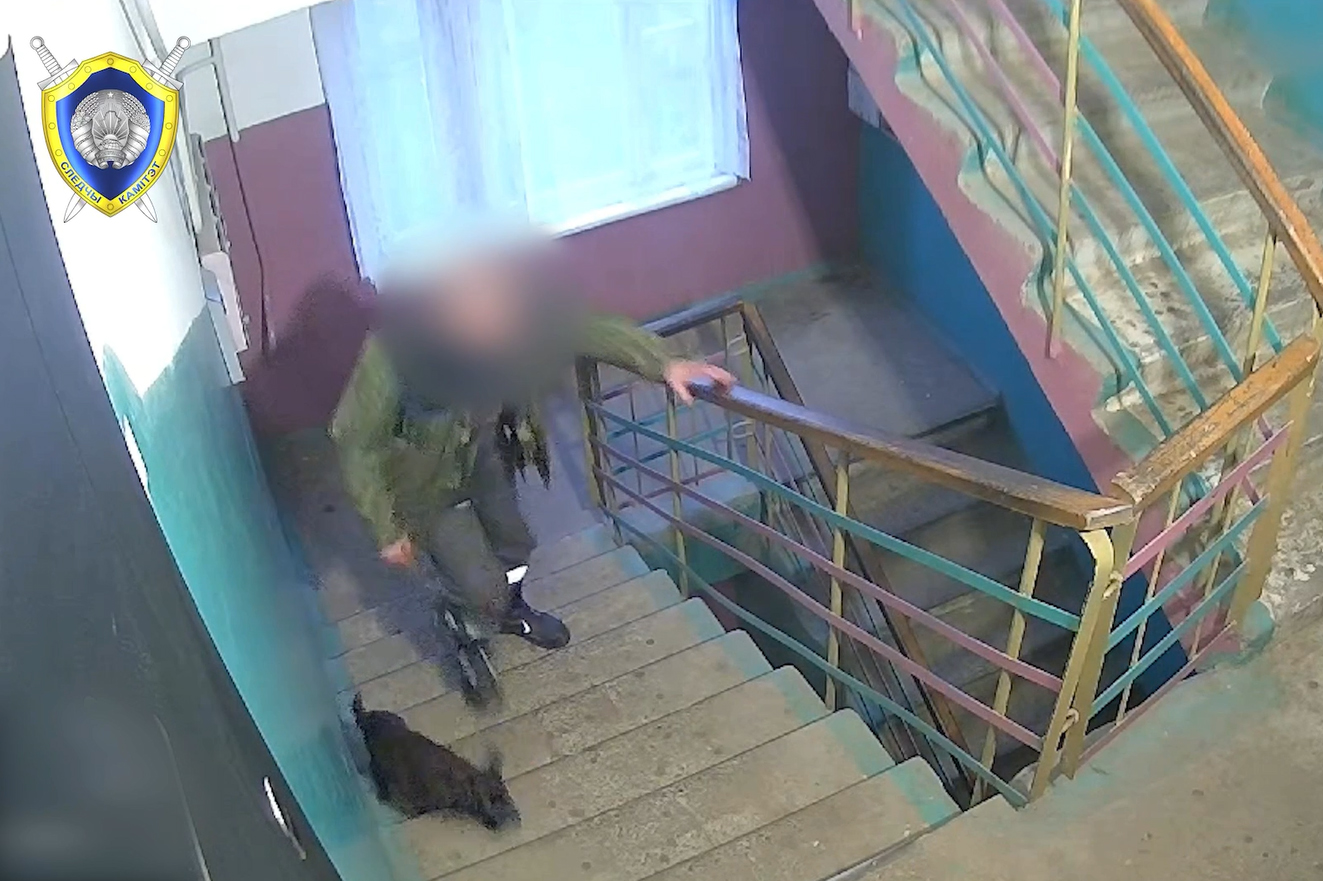 В Полоцком районе мужчина в пьяном угаре забил до смерти собаку матери