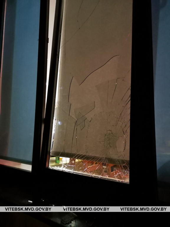 В Чашниках парень разгромил кафе, провожая приятеля в армию