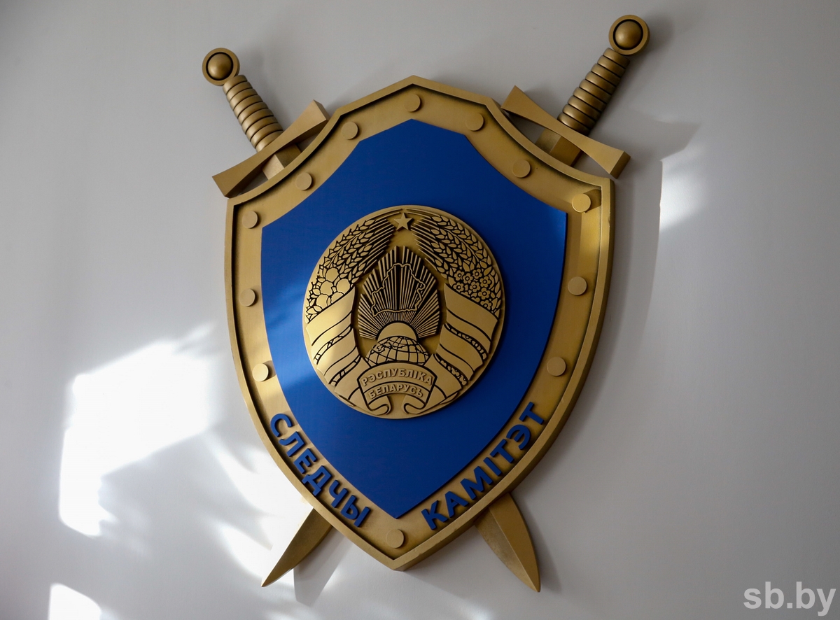 В Следственном комитете Беларуси назвали основные способы мошенничества и обмана граждан