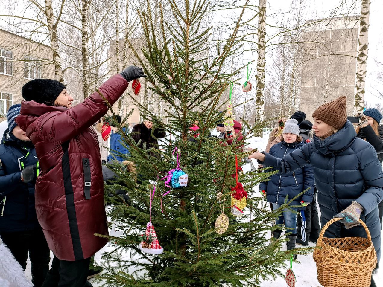 Фотофакт: Полоцкий лесхоз подарил ель местному Центру коррекционно-развивающего обучения и реабилитации