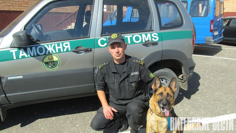 Начальник кинологического отдела Витебской таможни Иван Алексин о нюансах работы с четвероногим напарником