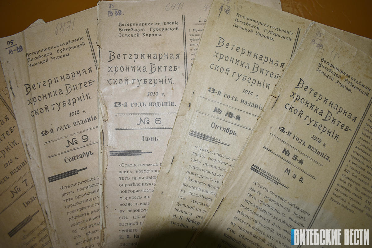 «Ветеринарная хроника Витебской губернии», или Как укротить ящура? 