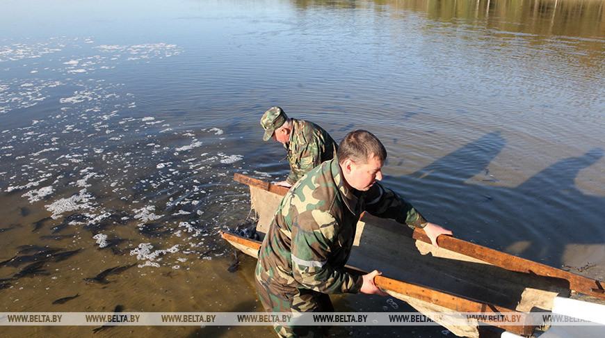 озера витебского района для рыбалки