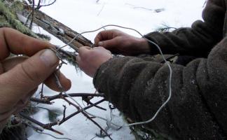 В 2021 году в Витебской области выявлено 33 случая использования незаконных орудий охоты
