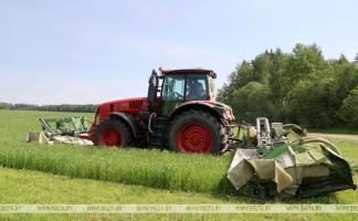 Первый укос в Витебской области сельхозпредприятия провели на 31% площадей