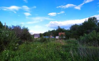 Загородная жизнь: как стать обладателем земли в садовом товариществе «Дачное» в Шумилинском районе