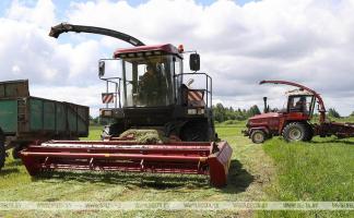 Сельхозпредприятия Витебской области произвели первый укос трав почти на 90% площадей