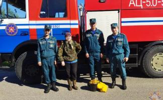 В Чашникском районе спасатели нашли женщину, которая заблудилась в лесу