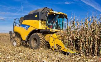 В Витебской области на 12 сентября убрано 97,5% площадей зерновых и зернобобовых культур (с кукурузой)