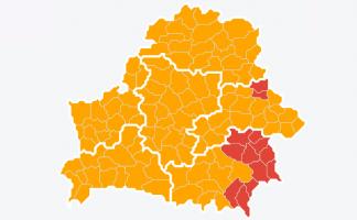 Посещение лесов ограничено во всех районах Витебской области