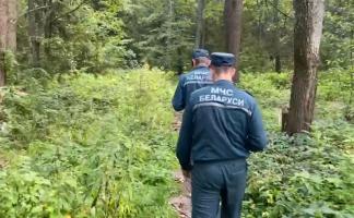 За сутки спасатели Витебской области четырежды выезжали на поиски людей, заблудившихся в лесных массивах