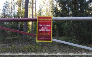 Ограничения на посещение лесов действуют во всех районах Витебской области