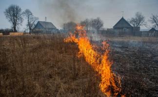 Витебские экологи предупреждают о последствиях сжигания сухой травы
