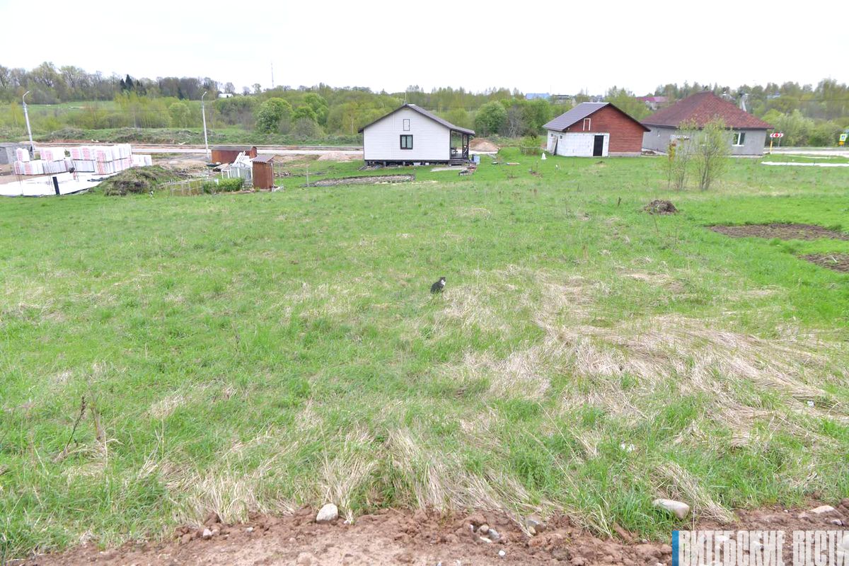 Как в Витебске нуждающимся в улучшении жилищных условий бесплатно получить земельный участок?