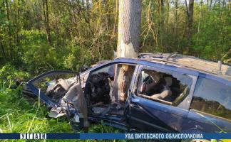 Смертельное ДТП в Городокском районе: легковушка слетела в кювет и врезалась в дерево