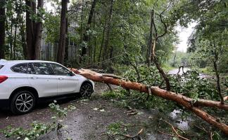 Витебское областное УМЧС рассказало о правилах безопасности во время урагана и сильного дождя 