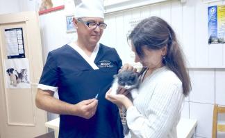 Советы ветеринаров: как правильно ухаживать за питомцами и проводить вакцинацию для защиты от инфекций