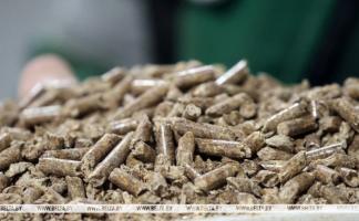 Минлесхоз будет регулировать цены на древесные топливные гранулы при их реализации ряду организаций