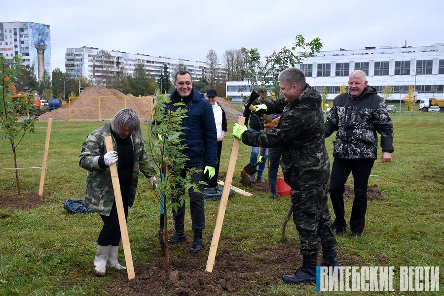 ФОТОФАКТ: Серебристые клены высажены в парке 1000-летия в Витебске в рамках городского субботника 