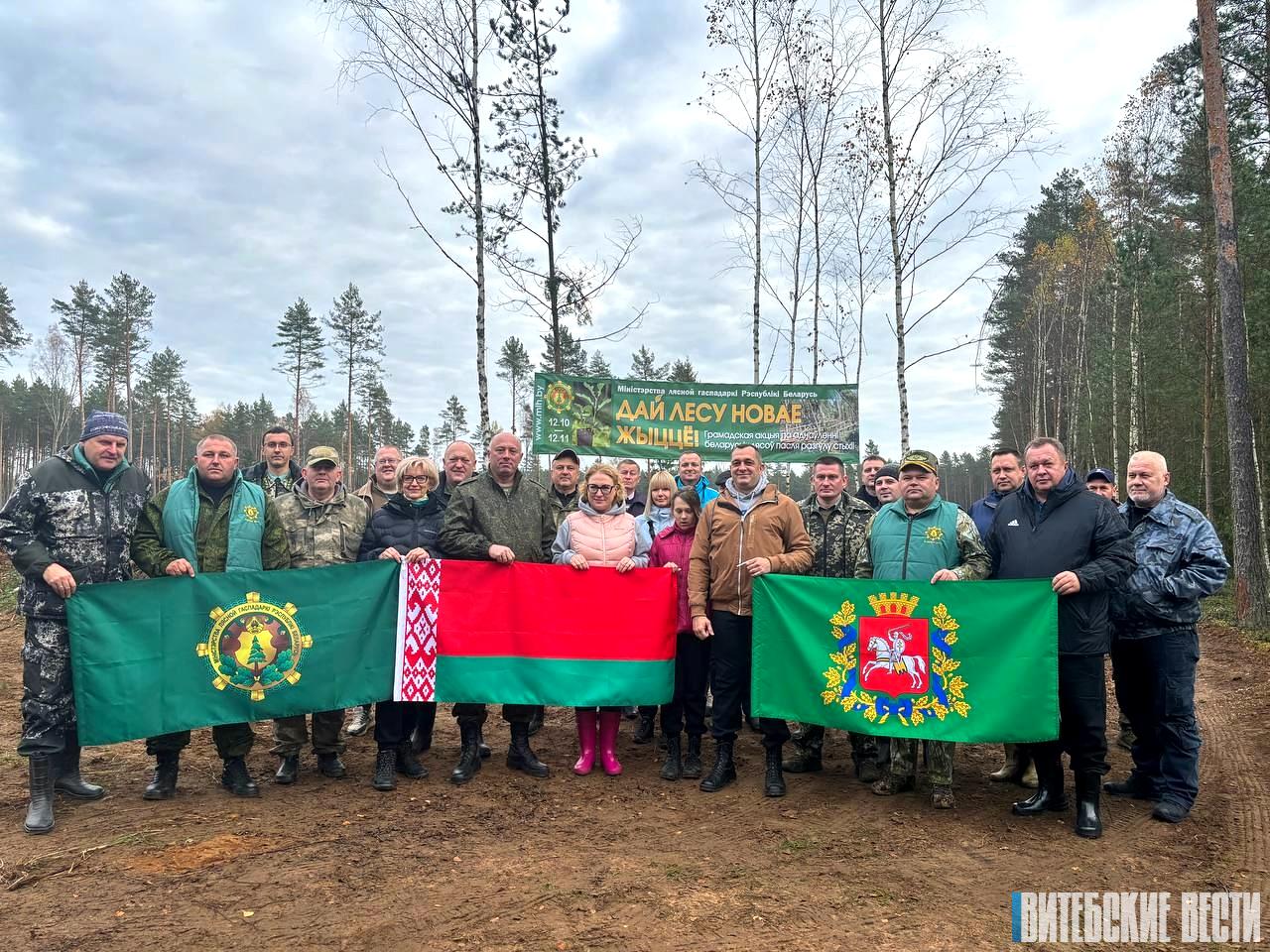 Плюс один гектар. Витебская область присоединилась к республиканской акции «Дай лесу новае жыццё»