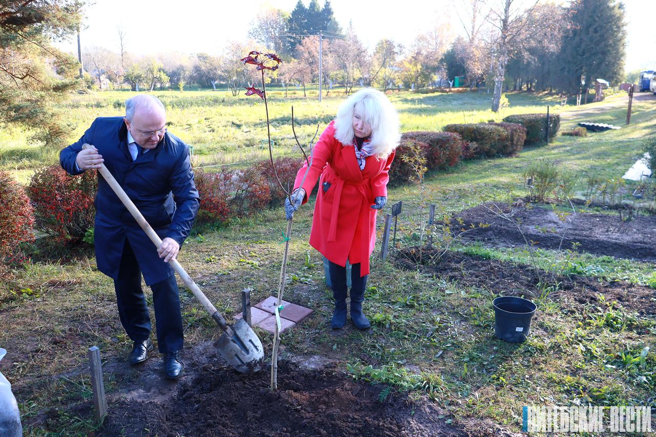 В ботаническом саду ВГМУ состоялась посадка аллеи, приуроченная к 90-летию университета и 80-летию освобождения Беларуси