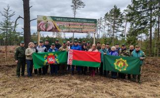 Более 10,5 тысяч жителей Витебской области приняли участие в акции «Дай лесу новае жыццё!»