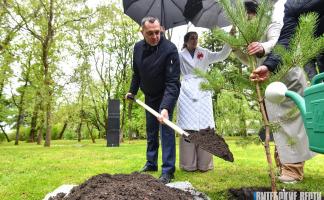 В Витебске посадили аллею в честь 80-летия Победы