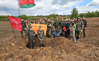 52-й батальон и «Витебский рубеж» начали поиски погибших солдат в Лиозненском районе