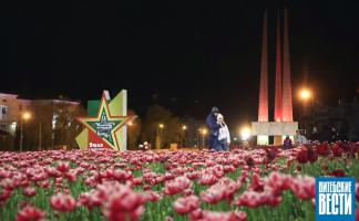 «Три штыка» на Знамени Победы: уроженка Витебска увековечила память земляков в всероссийском проекте