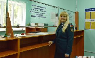 Транспортная инспекция по Витебской области подвела итоги работы «Реестра автомобильных перевозок пассажиров в нерегулярном сообщении»