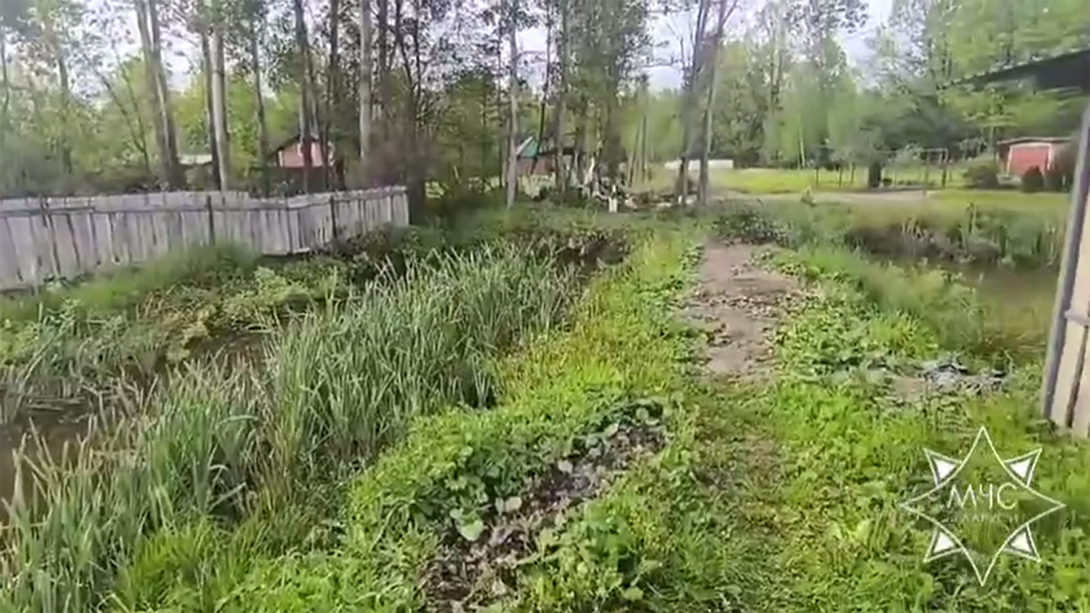В Витебском районе в пруду утонул ребенок