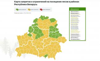 В 11 районах Витебской области ограничено посещение лесов