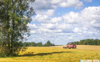 В Витебской области убрано более 70% от плана